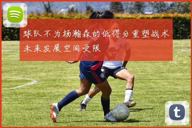 球队不为杨瀚森的低得分重塑战术未来发展空间受限